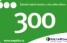 Мегафон. Карта оплаты 300 рублей (2009)